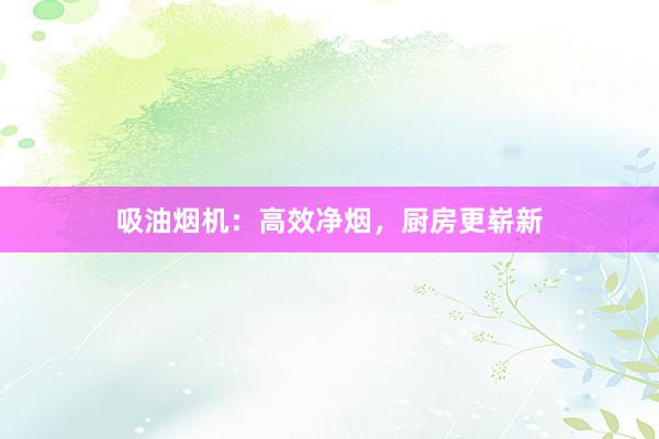 吸油烟机：高效净烟，厨房更崭新