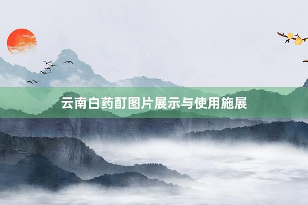 云南白药酊图片展示与使用施展